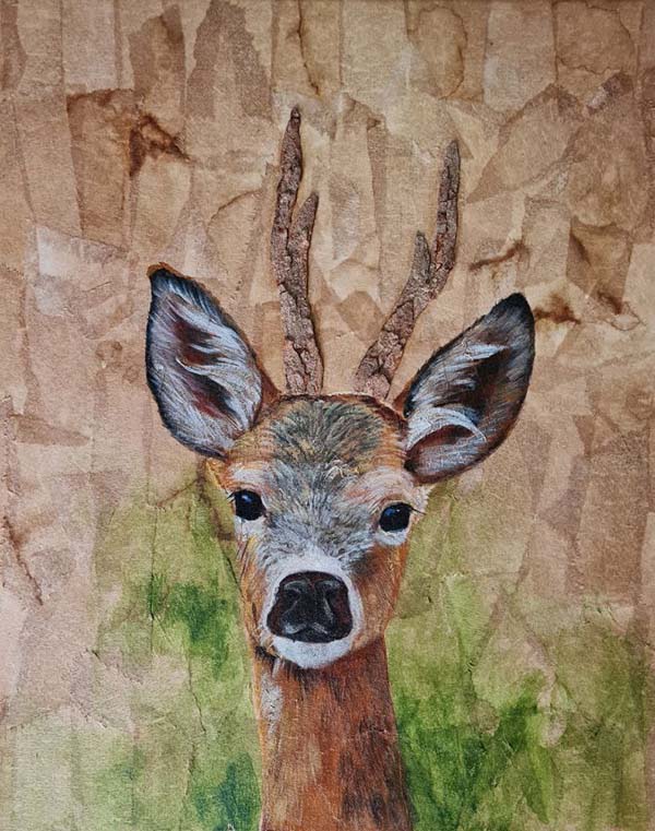 Cervo - 40 x 50 - Tc Mista